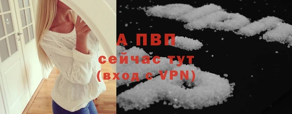 сатива Абинск