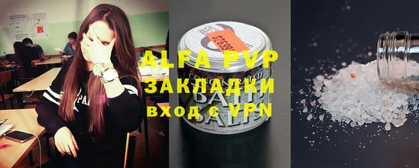 сатива Абинск