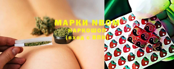 стафф Абаза