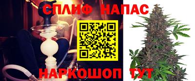 дмт Сланцы