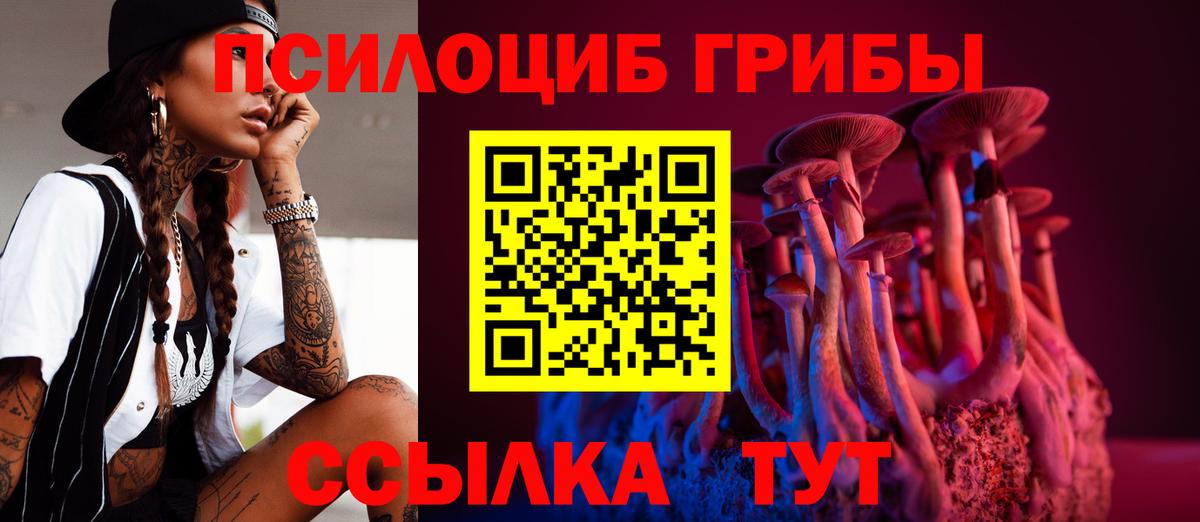 Галлюциногенные грибы MAGIC MUSHROOMS Юрга